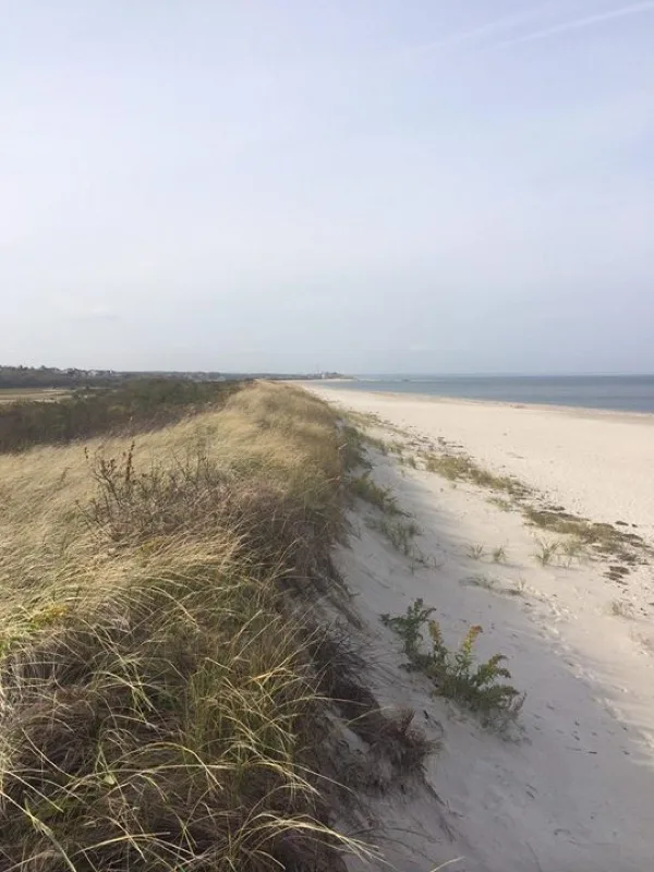 Cape Cod beach dunes near Marstons Mills